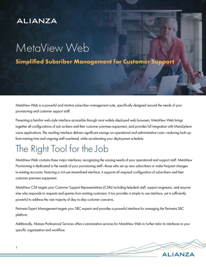 MetaView Web Datasheet